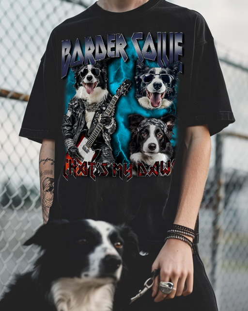 Border Collie
