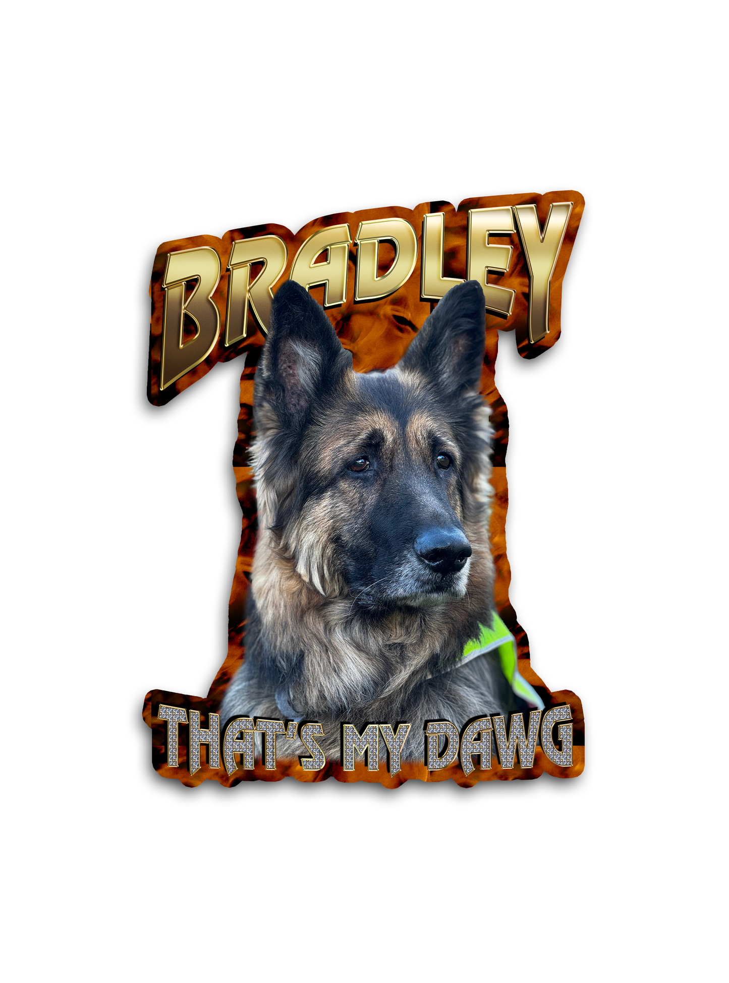 Custom "90s Bling" Stickers – Upload Any Pet, Friend, or Other Favorite Picture