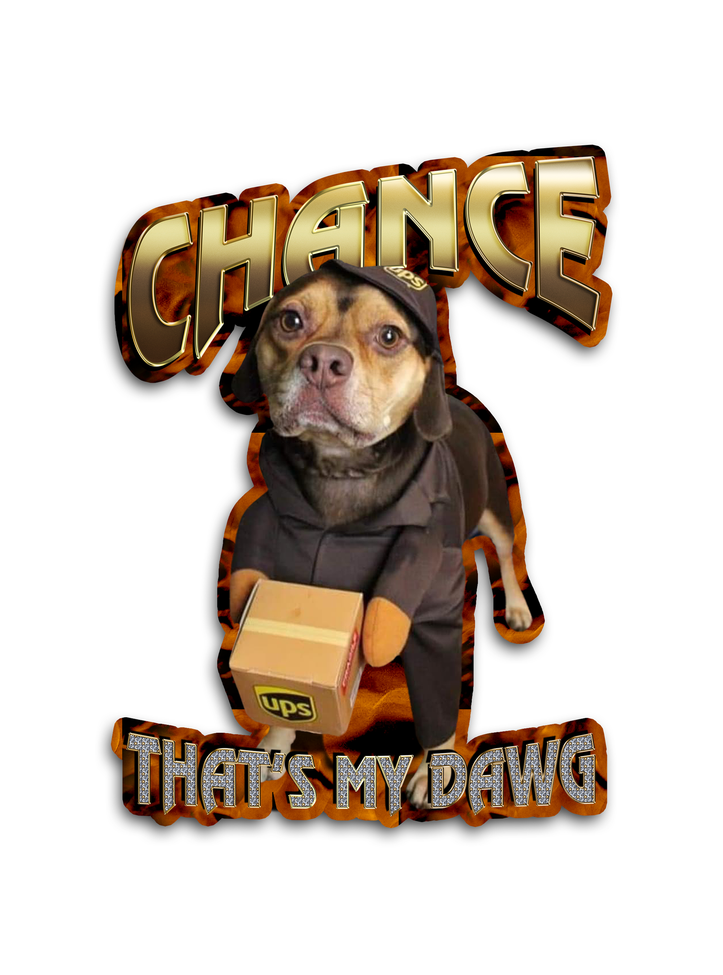 Custom "90s Bling" Stickers – Upload Any Pet, Friend, or Other Favorite Picture