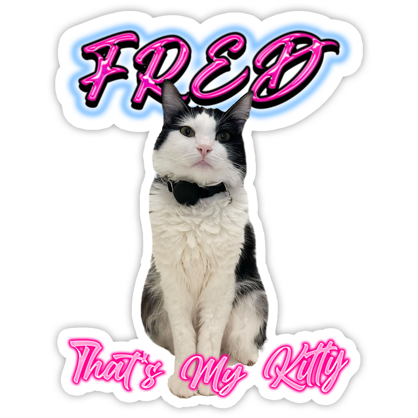 Custom "Airbrush 2.0" Stickers – Upload Any Pet, Friend, or Other Favorite Picture