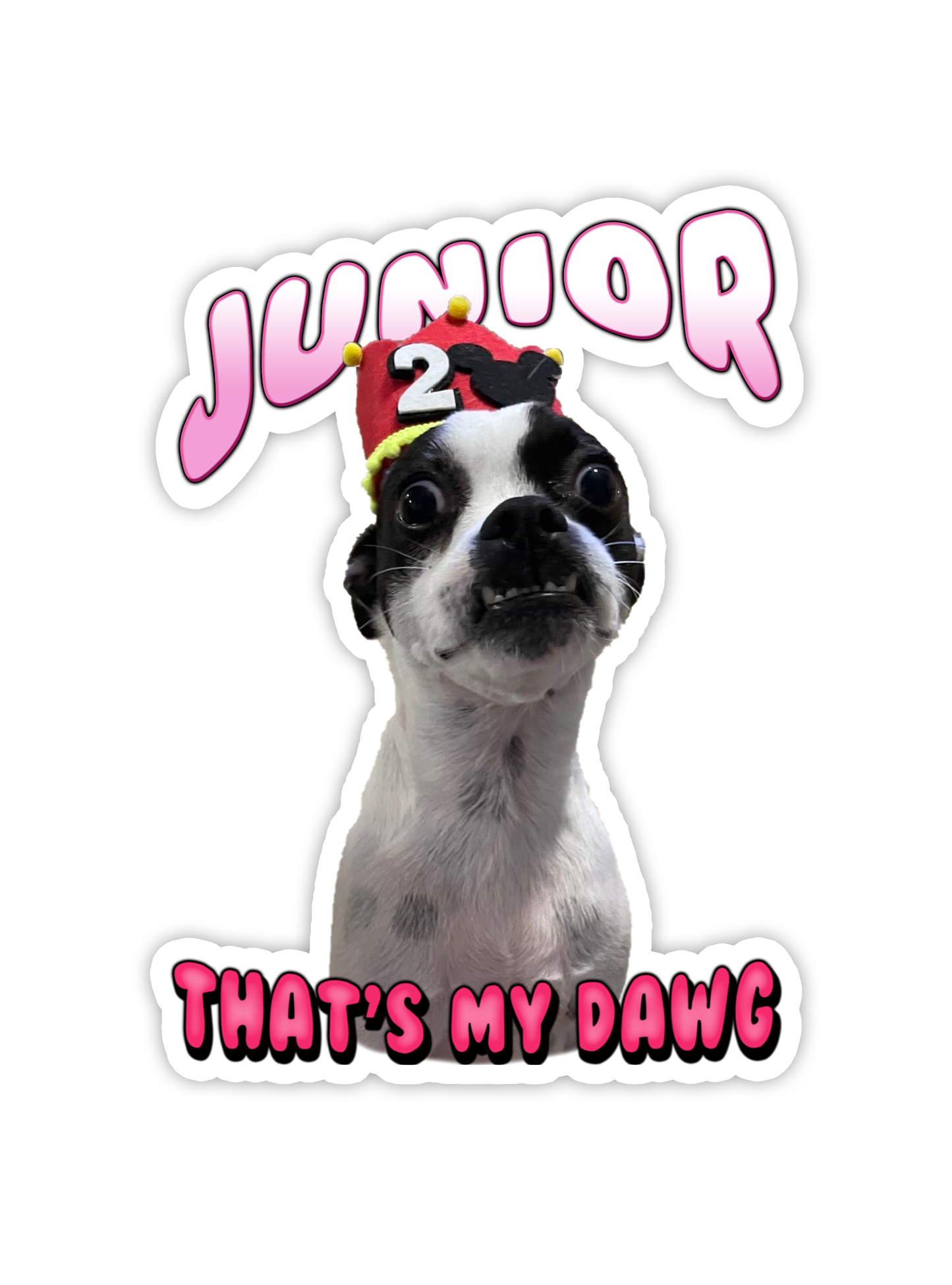 Custom "Bubble Gum" Stickers – Upload Any Pet, Friend, or Other Favorite Picture