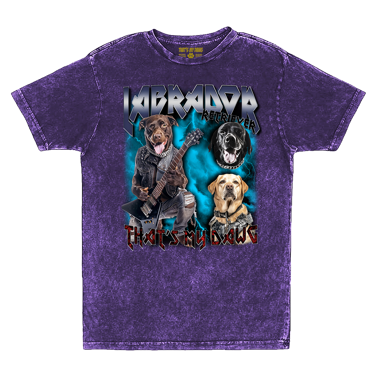 Heavy Metal - Labrador Retriever