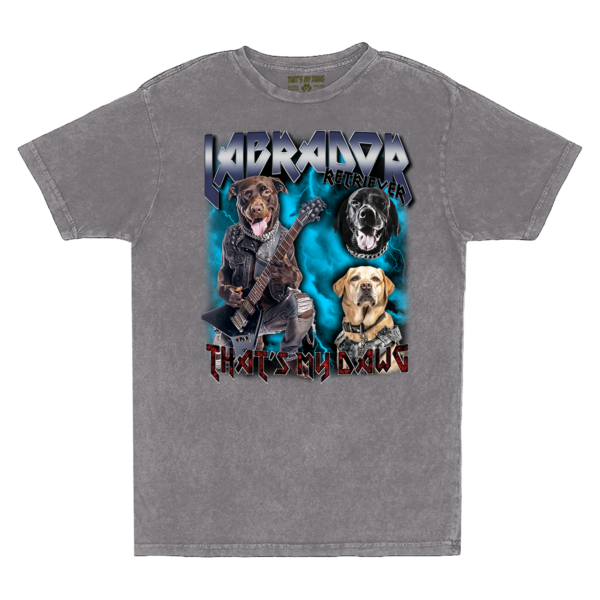 Heavy Metal - Labrador Retriever