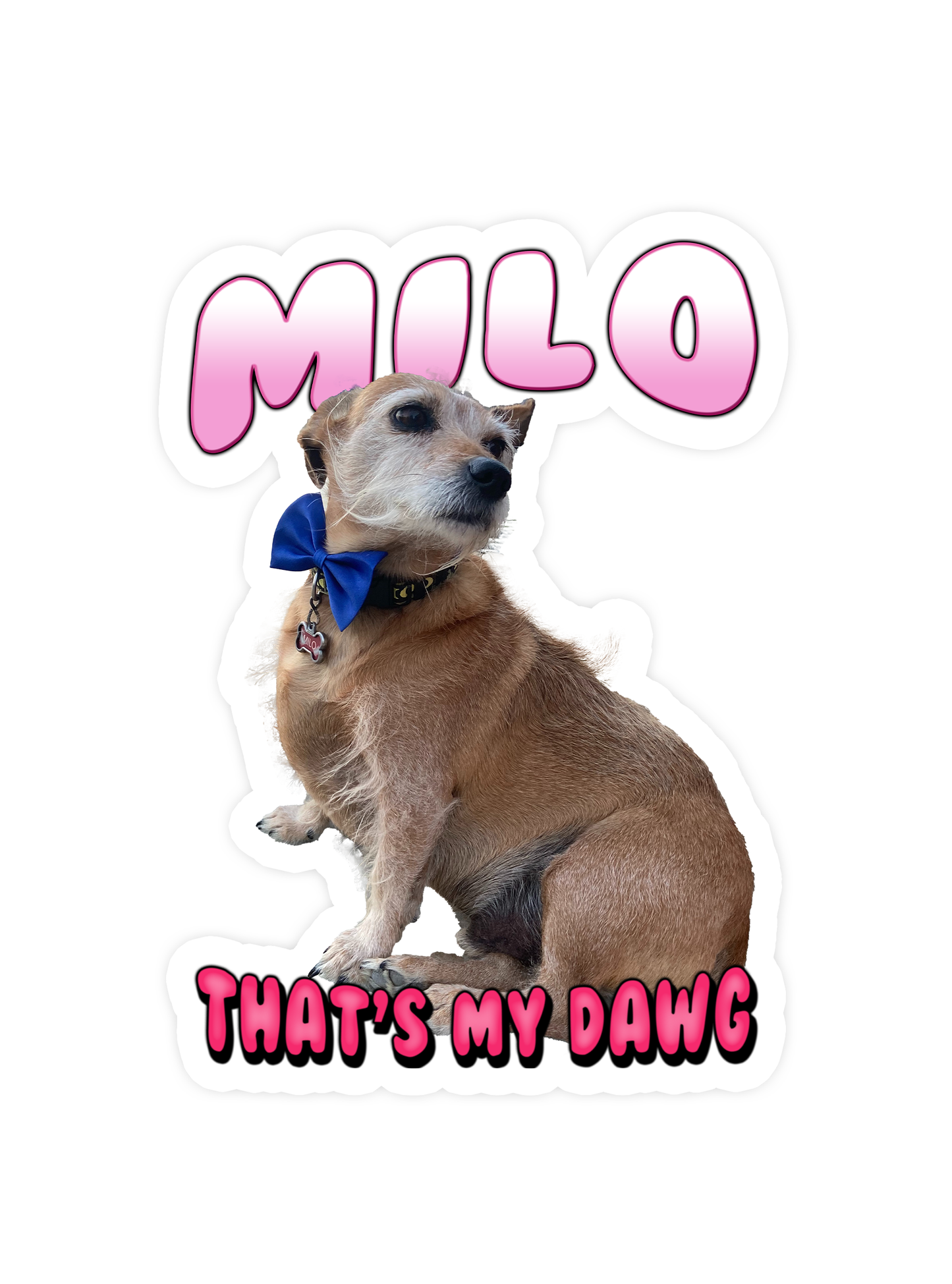 Custom "Bubble Gum" Stickers – Upload Any Pet, Friend, or Other Favorite Picture
