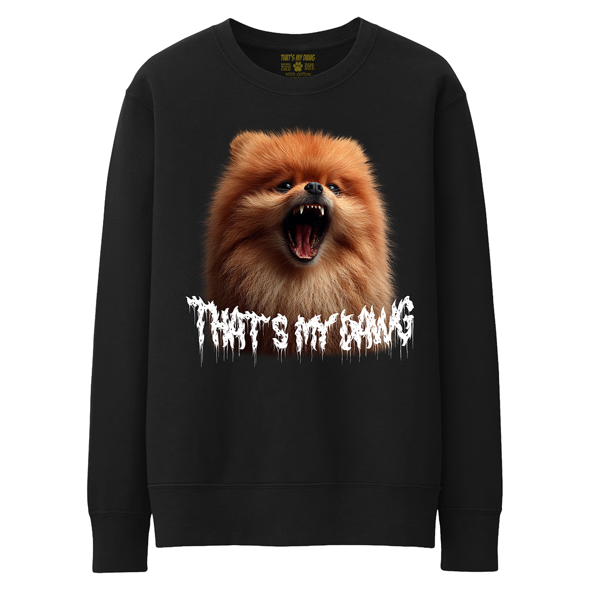 Scary Dawg - Pomeranian
