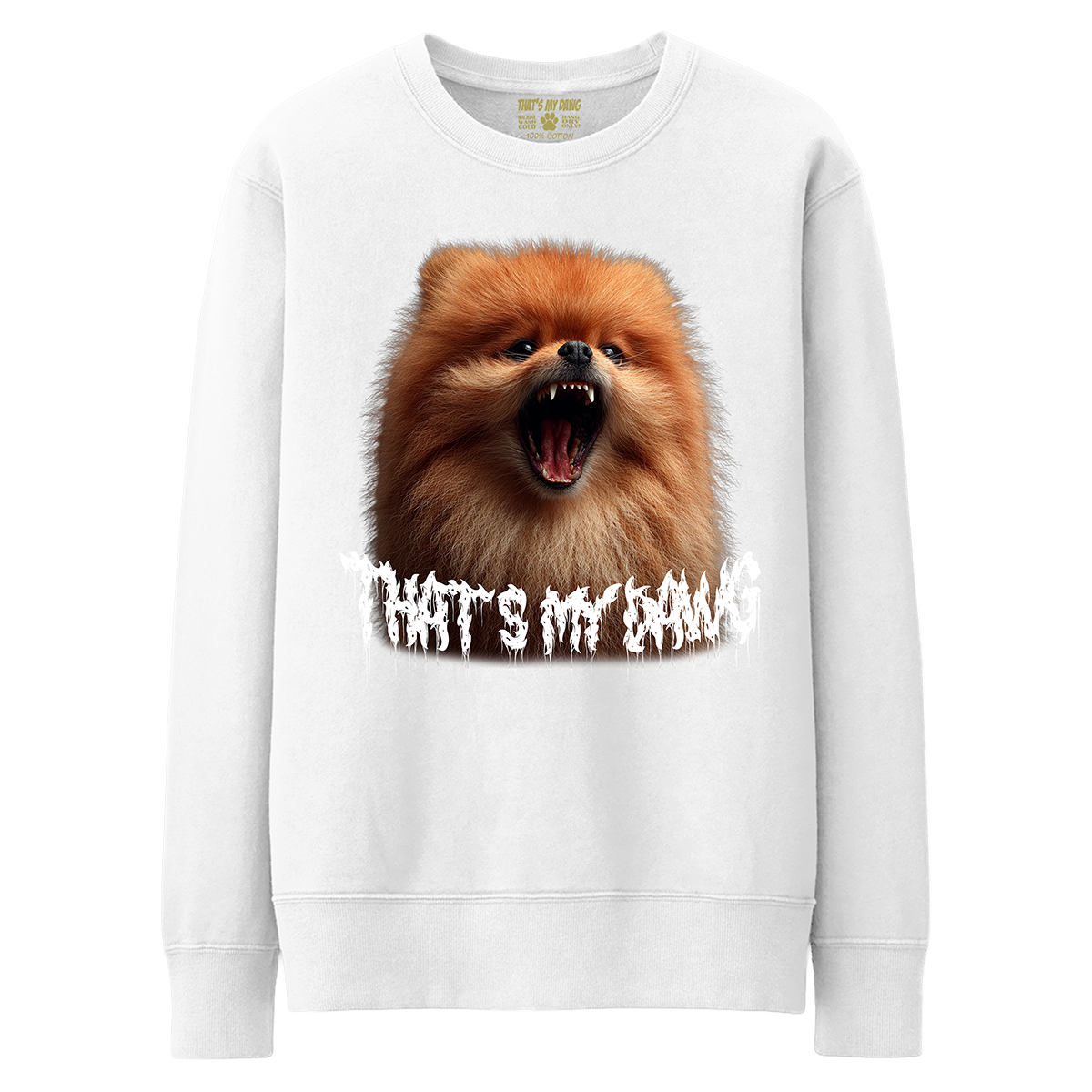 Scary Dawg - Pomeranian