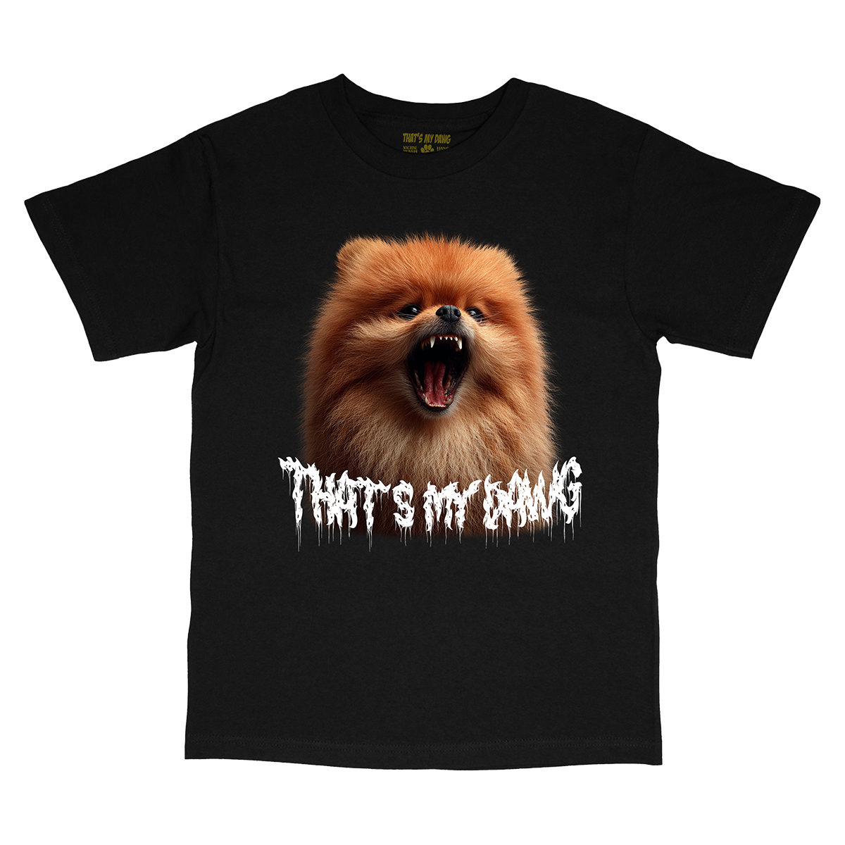 Scary Dawg - Pomeranian