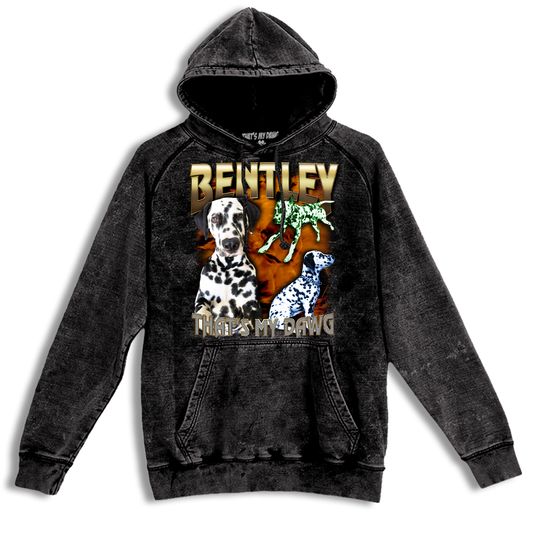 Custom 90s Bling Vintage Hoodie – Upload Any Pet, Friend, or Other Favorite Picture