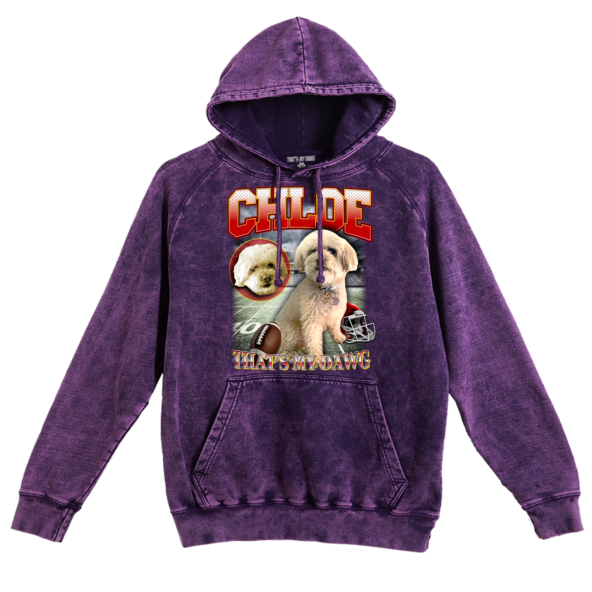 Custom NFL Vintage Hoodie – Feature Your Pet as a Football Star!