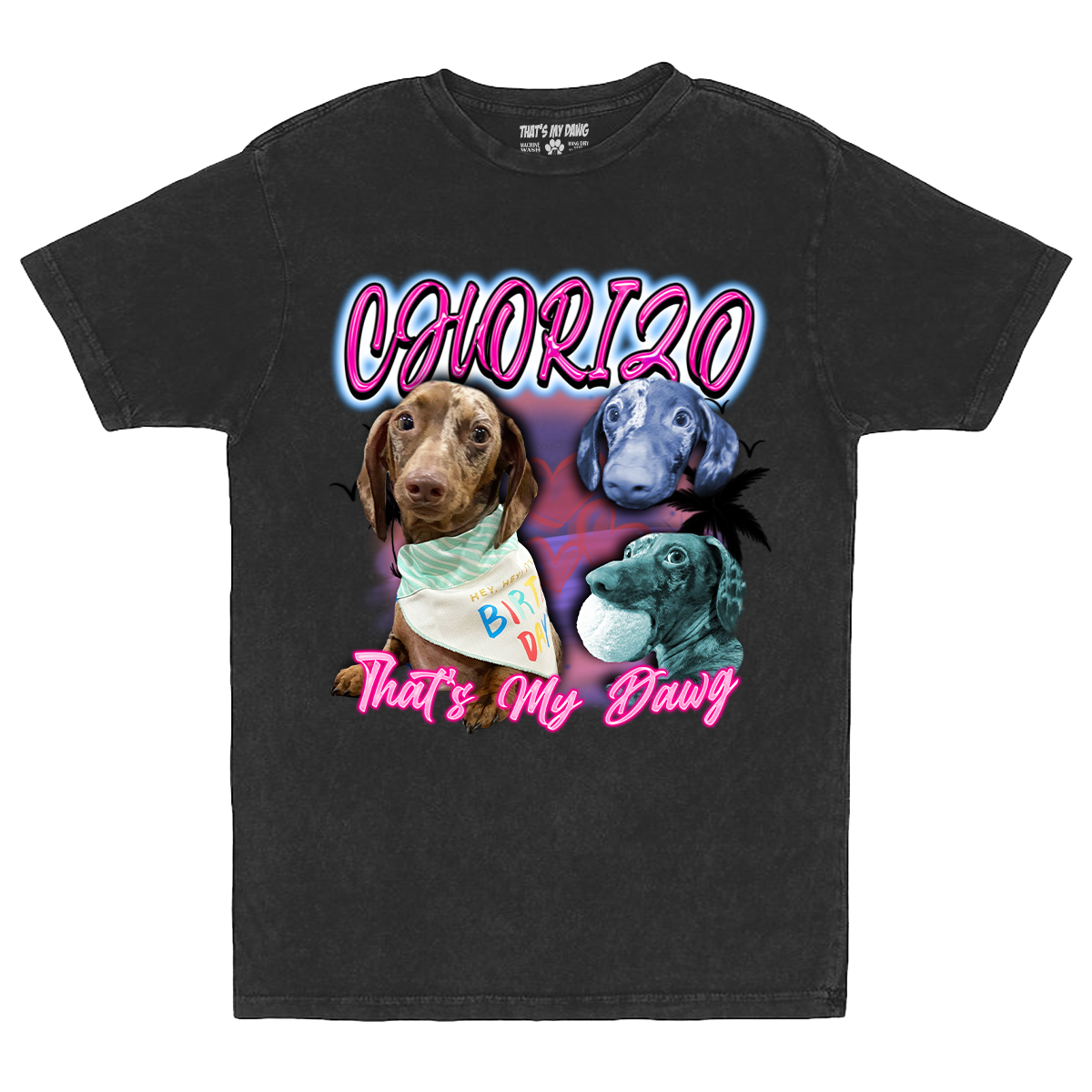 Custom Airbrush 2.0 Vintage T-Shirt – Upload Any Pet, Friend, or Other Favorite Picture