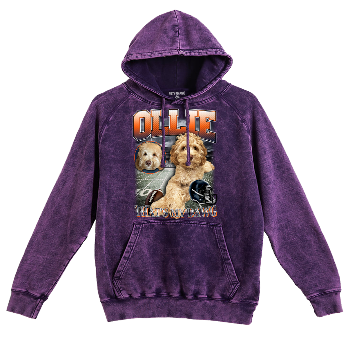 Custom NFL Vintage Hoodie – Feature Your Pet as a Football Star!