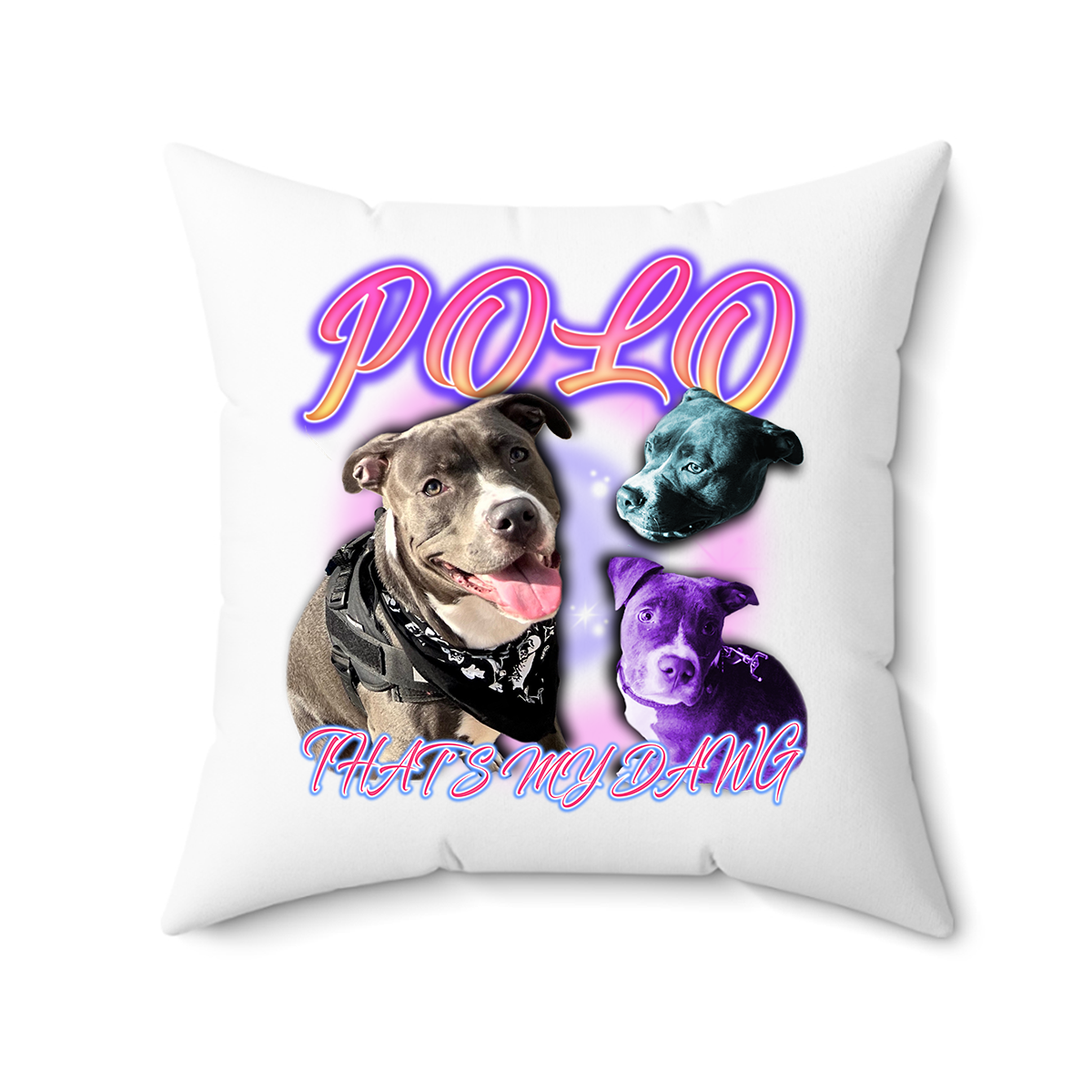 Custom 90s Airbrush Pillow – Upload Any Pet, Friend, or Other Favorite Picture