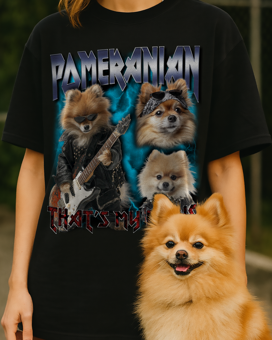 Pomeranian