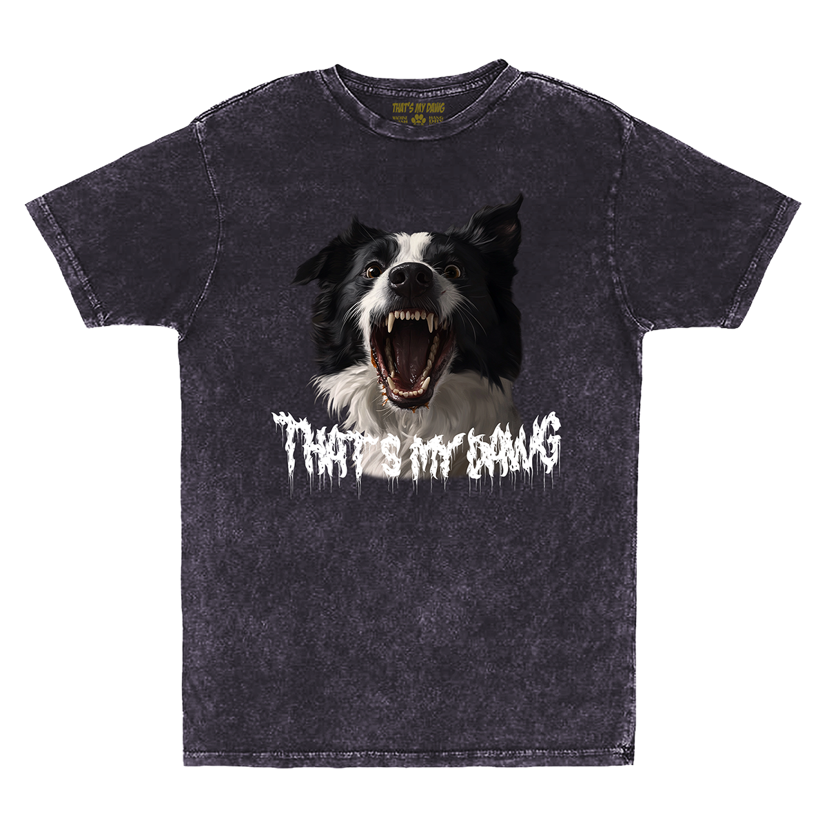 Scary Dawg - Border Collie