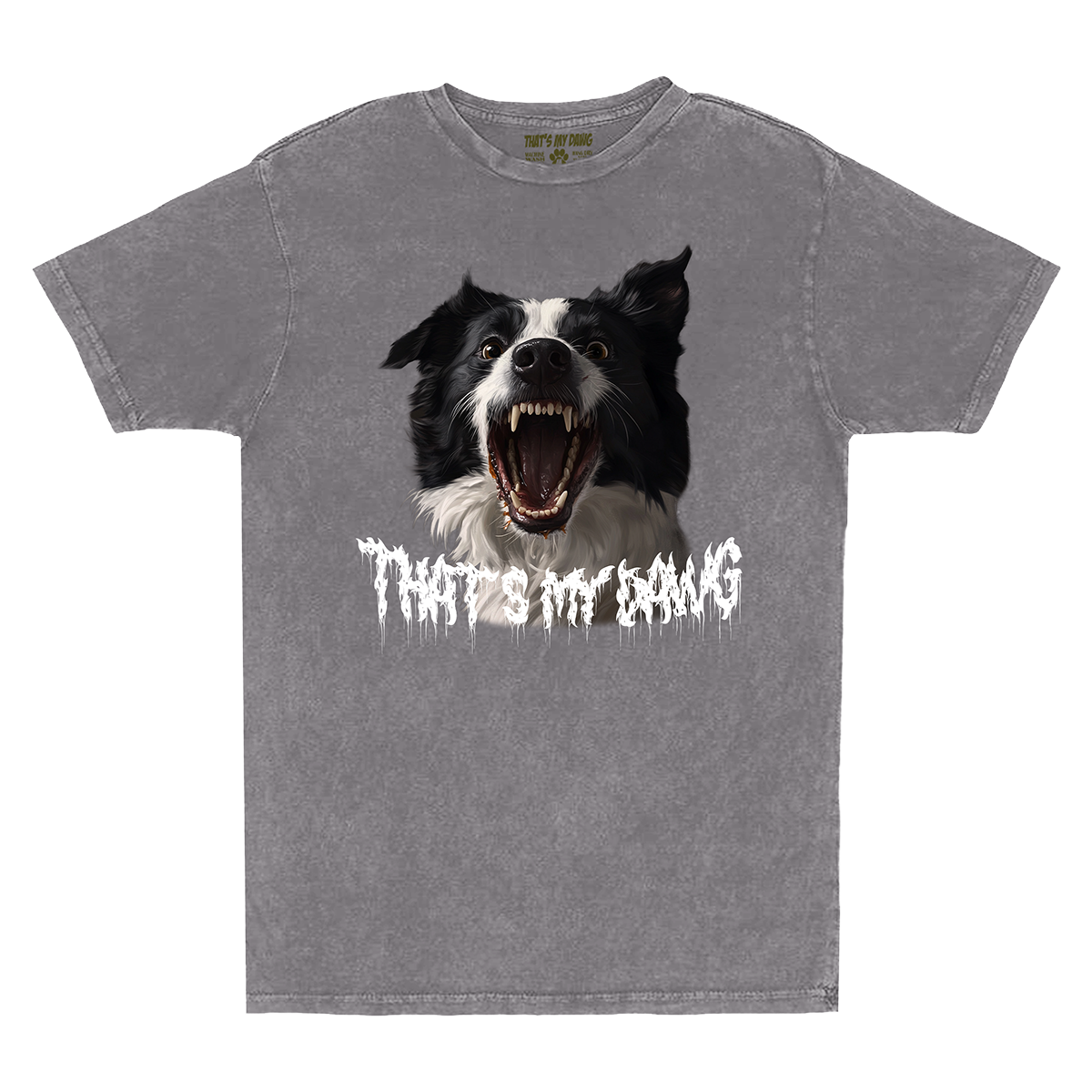 Scary Dawg - Border Collie