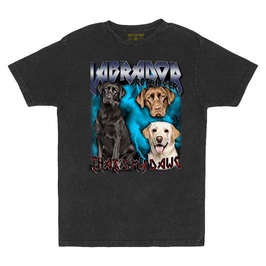 90's Style Labrador Retriever Vintage T-Shirts (Vintage Black)