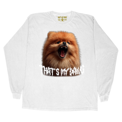 Scary Dawg - Pomeranian