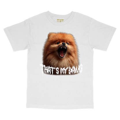 Scary Dawg - Pomeranian