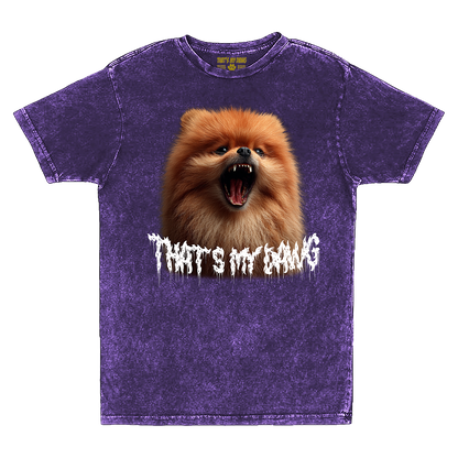 Scary Dawg - Pomeranian