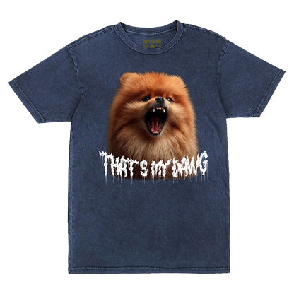 Scary Dawg - Pomeranian