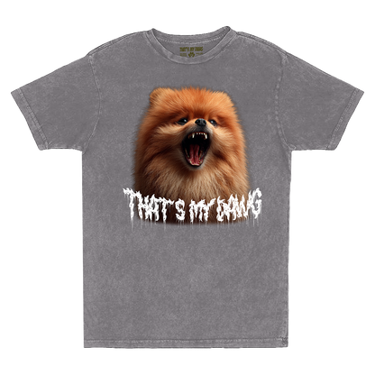Scary Dawg - Pomeranian